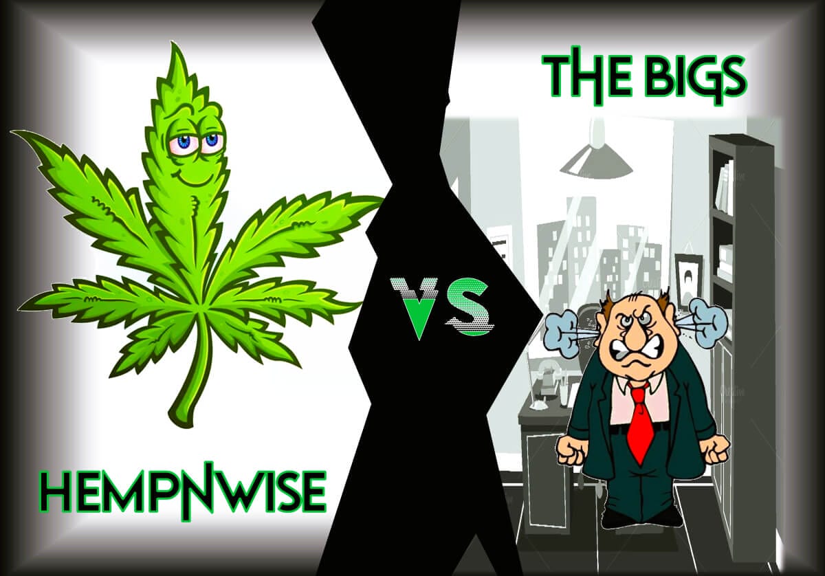 HEMPnWISE vs THE BIGS | Atlanta-based online store dedicated to providing CBD oil-based healing products.