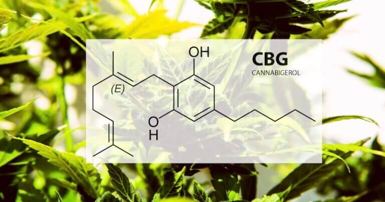 cannabigerol