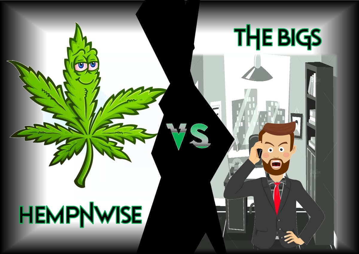 HEMPnWISE vs THE BIGS | Atlanta-based online store dedicated to providing CBD oil-based healing products.