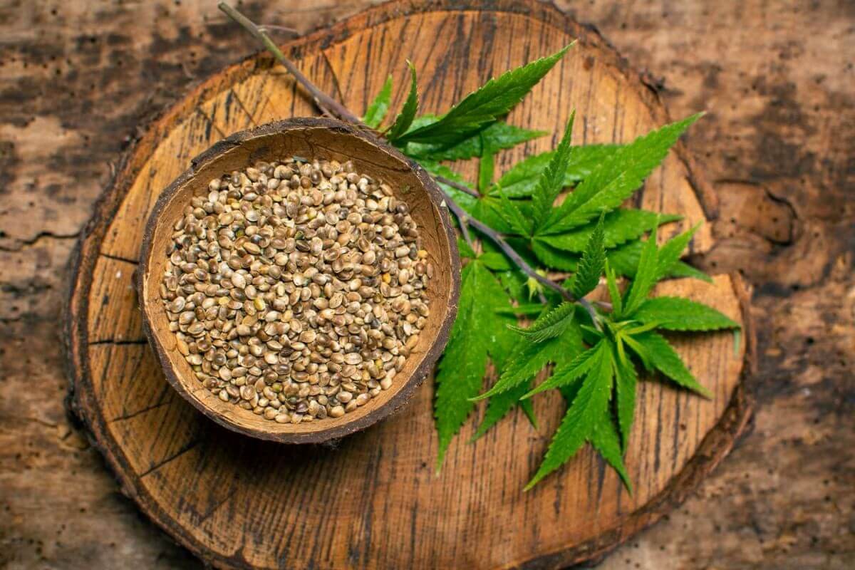 Hemp Seeds as a Food Source? | Atlanta-based online store dedicated to providing CBD oil-based healing products.